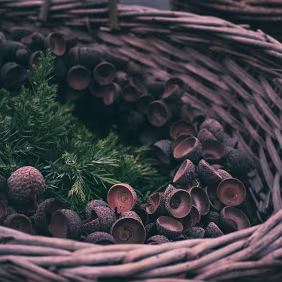 Remaining Forms Empty acorn cups fill the basket, reduced to shells and surfaces. What remains is texture, repetition, and the trace of what once was held.
