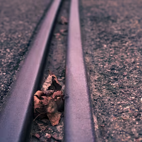 Interrupted Parallel rails establish order, briefly disrupted by fallen leaves. Direction remains intact, but its authority is momentarily softened by chance.