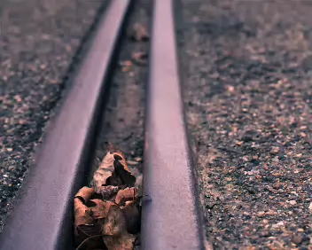 Interrupted Parallel rails establish order, briefly disrupted by fallen leaves. Direction remains intact, but its authority is momentarily softened by chance.