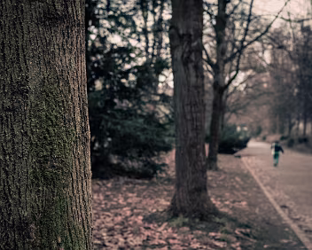 Passing Through A sharply rendered tree stands beside a park path as a solitary figure moves through the frame. The human presence is brief and secondary, contrasting with the...